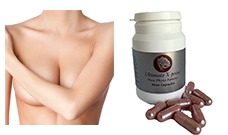 All Phytoestrogen