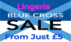 Lingerie Blue Cross Sale