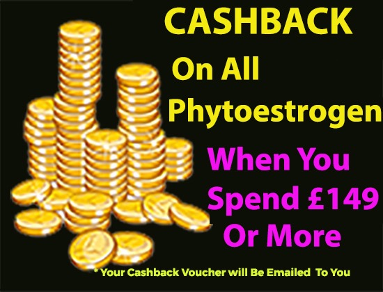 Corsets, Girdles & Shapewear